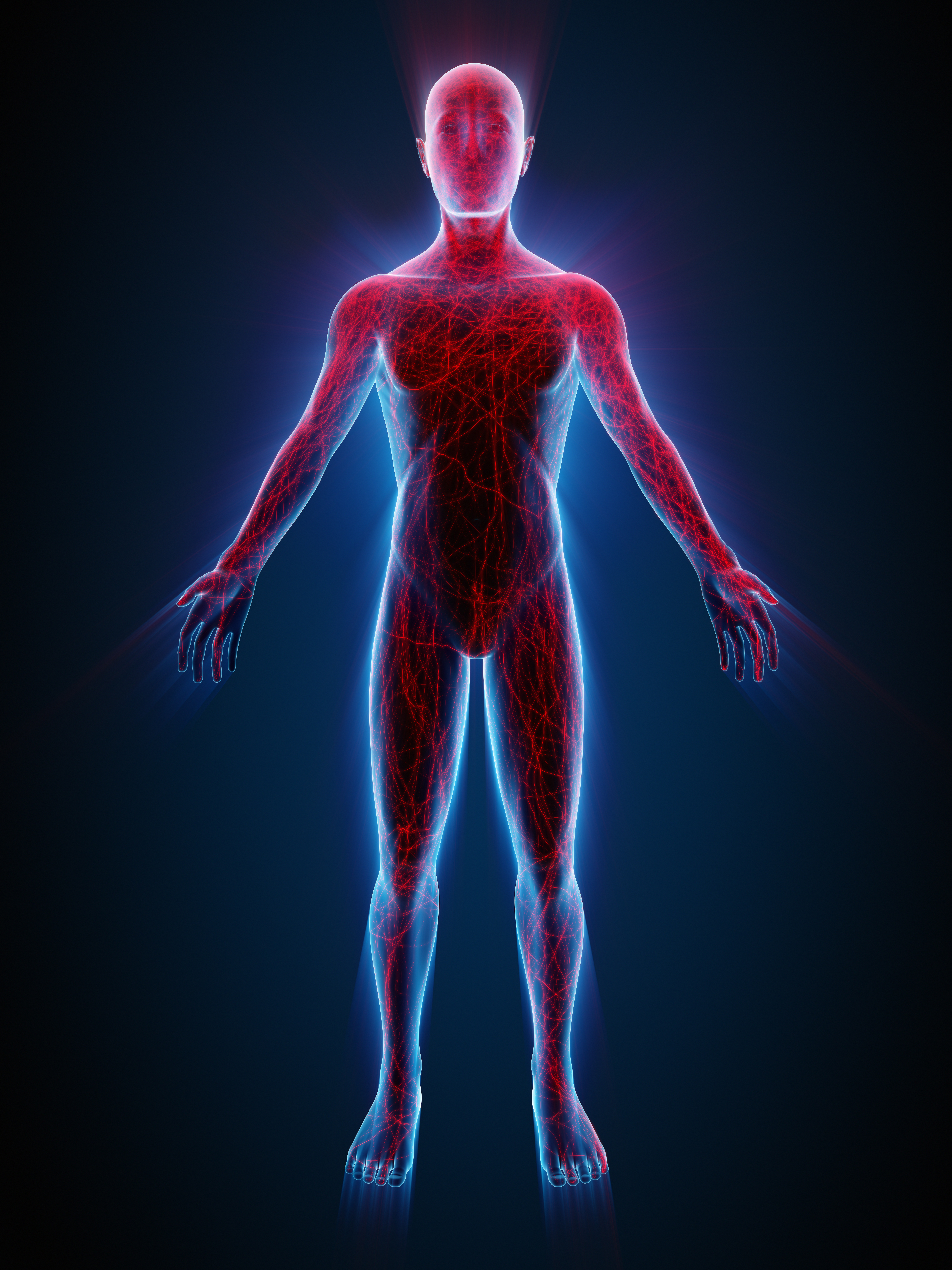 What are the causes of high blood pressure? Summary of curiosities (2)