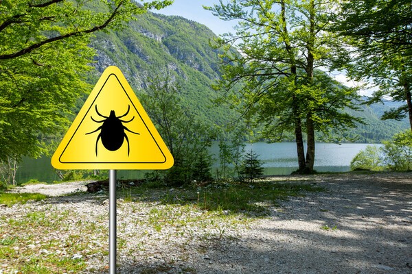 쯔쯔가무시병은 풀숲에 사는 털진드기 유충에 물려 감염되는 급성 발열 질환이다. [출처: Gettyimagesbank]