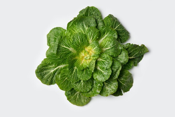 봄동은 섬유질이 풍부해 위장 활성화와 변비 예방에 효과적이다. [출처: Gettyimagesbank]